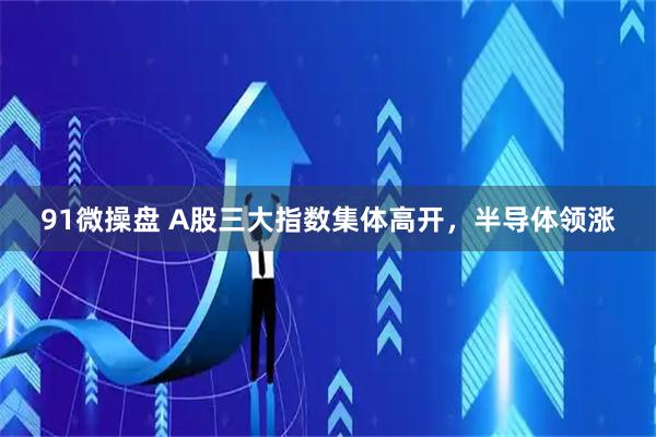 91微操盘 A股三大指数集体高开，半导体领涨