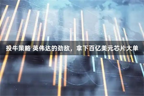 投牛策略 英伟达的劲敌，拿下百亿美元芯片大单