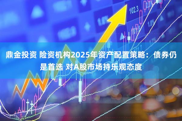 鼎金投资 险资机构2025年资产配置策略：债券仍是首选 对A股市场持乐观态度