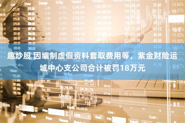 趣炒股 因编制虚假资料套取费用等，紫金财险运城中心支公司合计被罚18万元