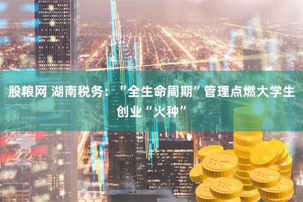 股粮网 湖南税务：“全生命周期”管理点燃大学生创业“火种”