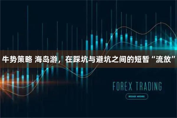 牛势策略 海岛游，在踩坑与避坑之间的短暂“流放”