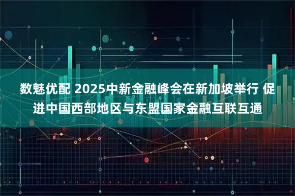 数魅优配 2025中新金融峰会在新加坡举行 促进中国西部地区与东盟国家金融互联互通