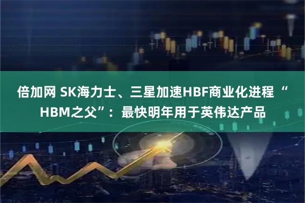 倍加网 SK海力士、三星加速HBF商业化进程 “HBM之父”：最快明年用于英伟达产品