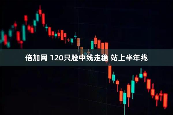 倍加网 120只股中线走稳 站上半年线