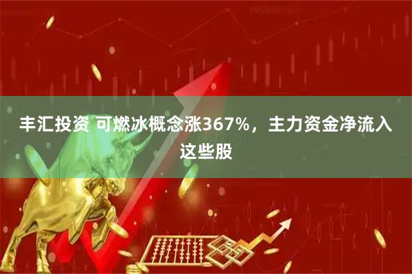 丰汇投资 可燃冰概念涨367%，主力资金净流入这些股