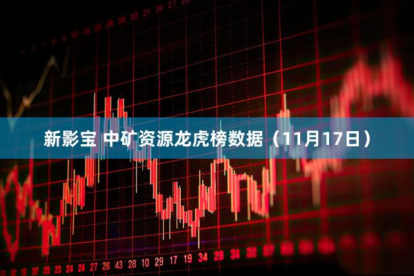新影宝 中矿资源龙虎榜数据（11月17日）