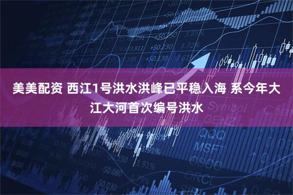 美美配资 西江1号洪水洪峰已平稳入海 系今年大江大河首次编号洪水